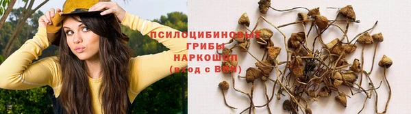 mdpv Абаза