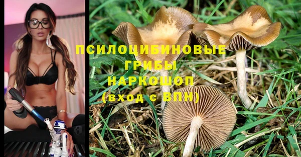 спиды Абдулино