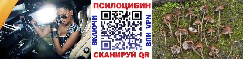 Псилоцибиновые грибы ЛСД  Тихорецк 